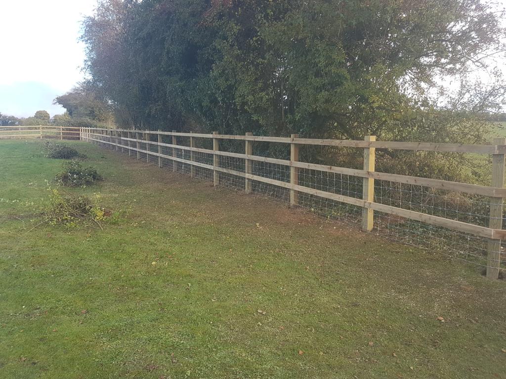 Livestock Field Fencing in Hampshire